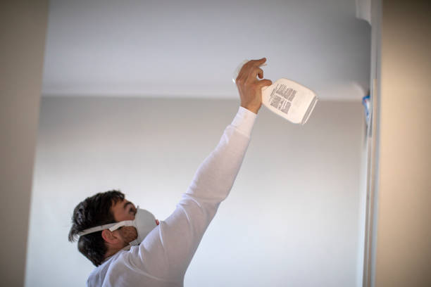 Best Mold Cleaning Services  in Montana City, MT