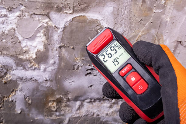Best Residential Mold Removal  in Montana City, MT