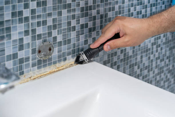 Trusted Montana City, MT Mold Removal Experts
