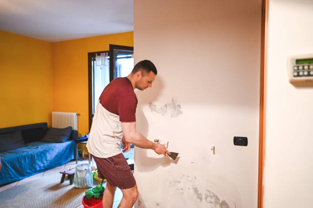 Best Professional Mold Removal  in Montana City, MT